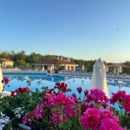 Sm Lovely Apartments On The First Line In Sozopol Exteriör bild