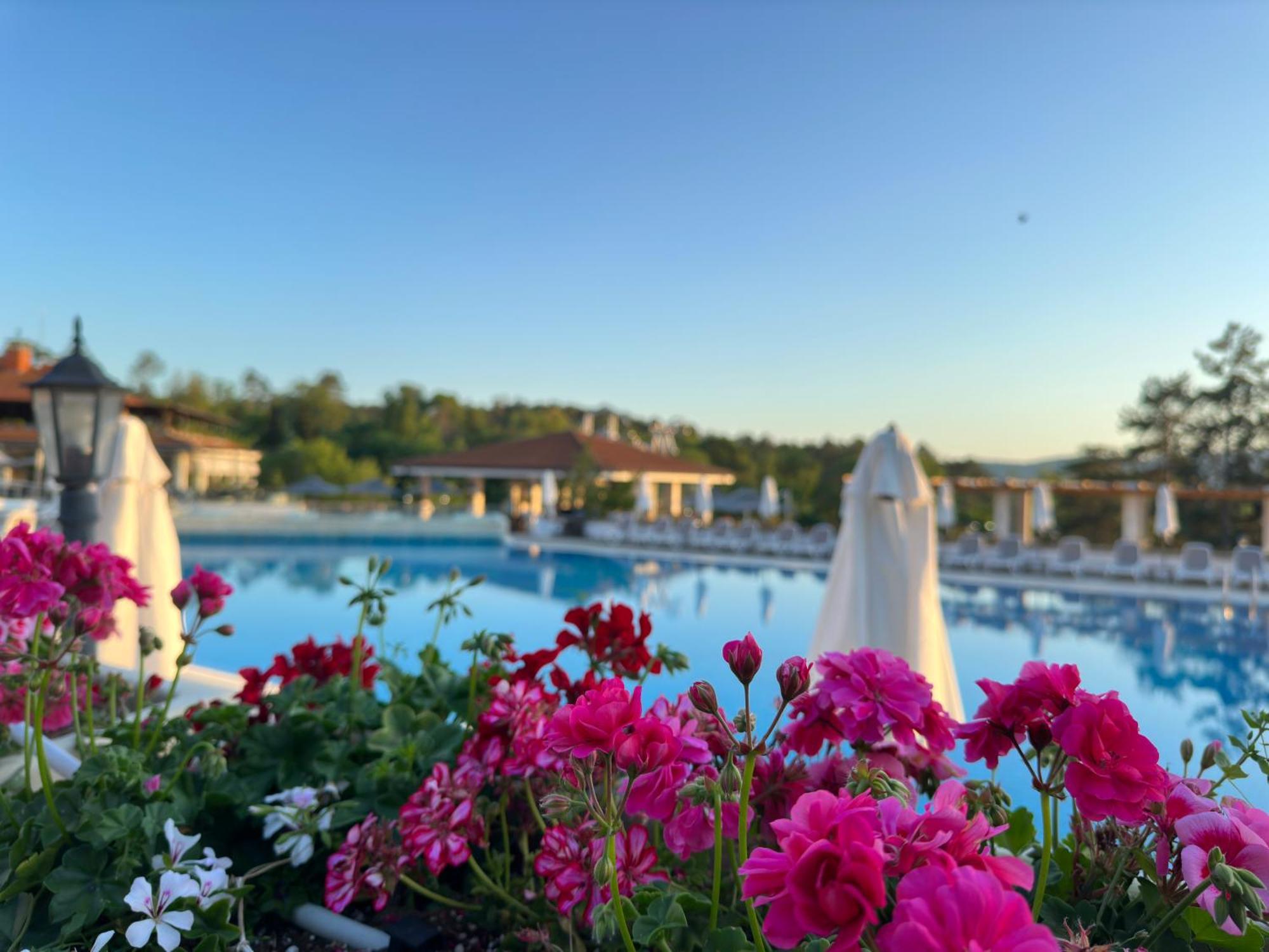 Sm Lovely Apartments On The First Line In Sozopol Exteriör bild